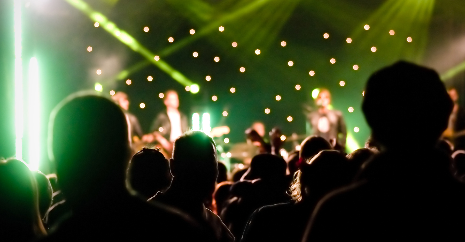 Image of people at a large concert