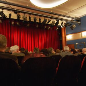 Audience in a theatre