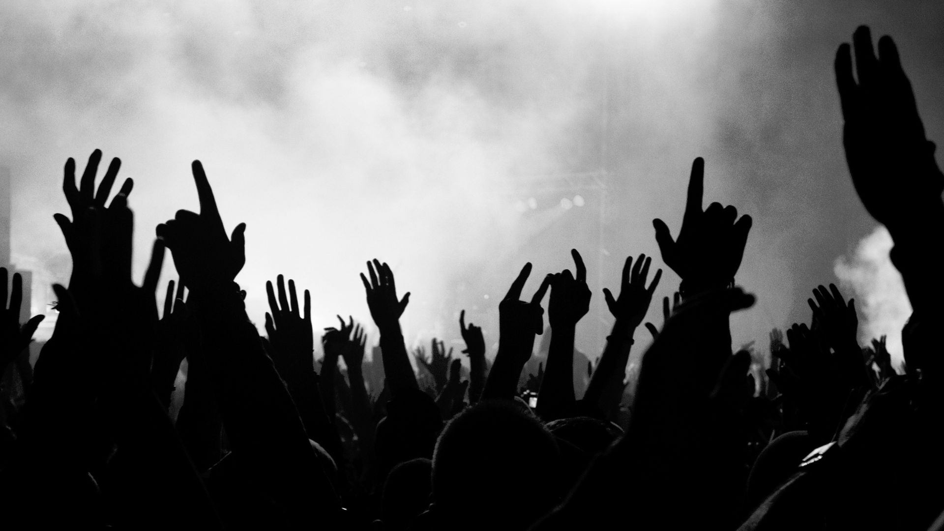 fans at a concert